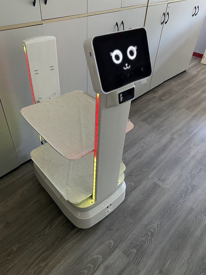 Transport-Roboter 6113 Autoxing von vorne